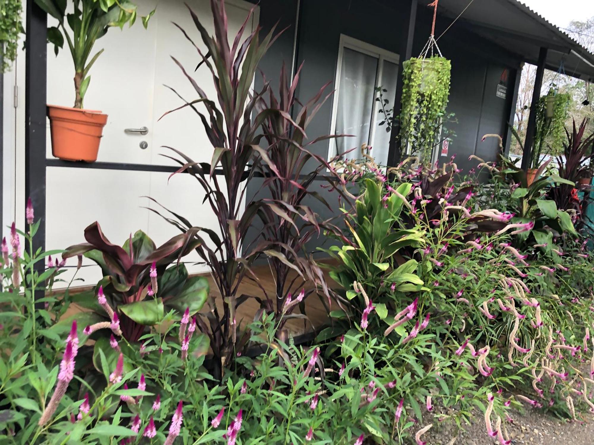 Apartamentos Equipados Dmr #3 ウビタ エクステリア 写真